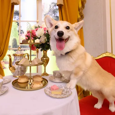 Madame Tussauds London The Royal Palace (2)