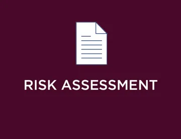 Risk Assessment Icon (3)